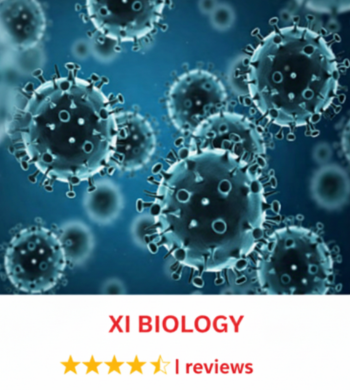 Home untitled design (2)